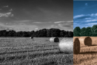 Adobe Photoshop CS6 Tutorial – How To Colorize Black And White Picture
