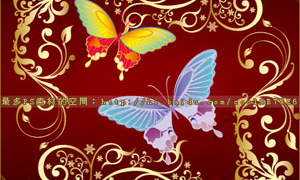 Free Flowers ornaments and butterflies brushes
