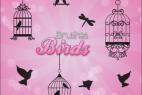 Photoshop Brushes – Birds