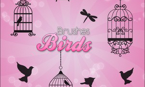 Photoshop Brushes – Birds