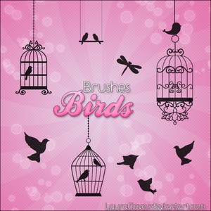 Photoshop Brushes - Birds