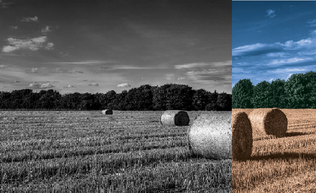 Adobe Photoshop CS6 Tutorial - How To Colorize Black And White Picture